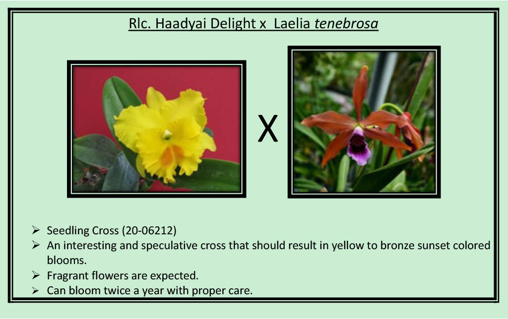 2026 Spring Surprise Box SALE !!