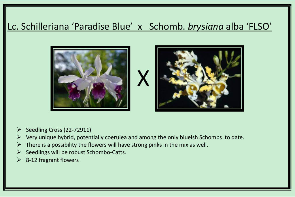 2026 Spring Surprise Box SALE !!