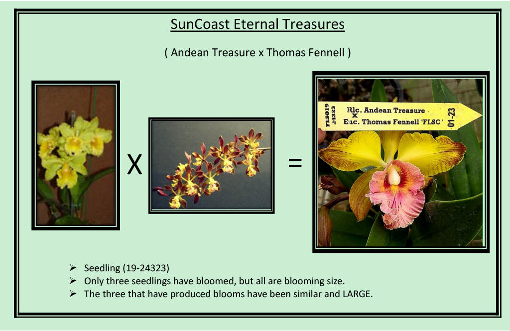 2026 Spring Surprise Box SALE !!